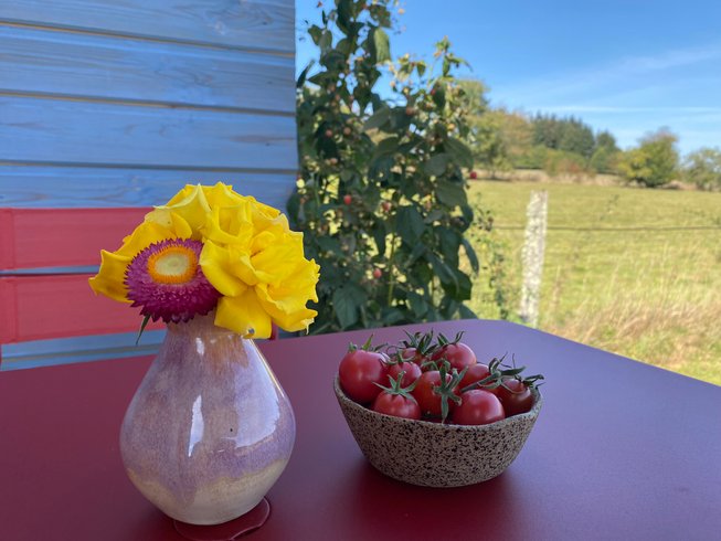 Hébergement AbracadaRoom : Roulotte 360°nature - Image 14