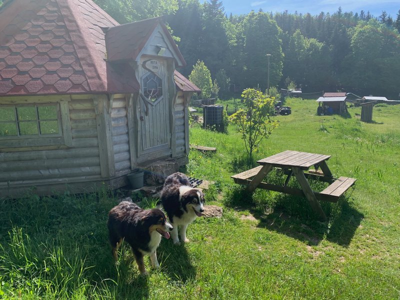Hébergement AbracadaRoom : Kota 4 Zima - Séjour inoubliable auprès de huskies - Image 23