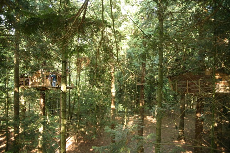 Hébergement AbracadaRoom : Cabane Tyrolienne n°7 - Image 9