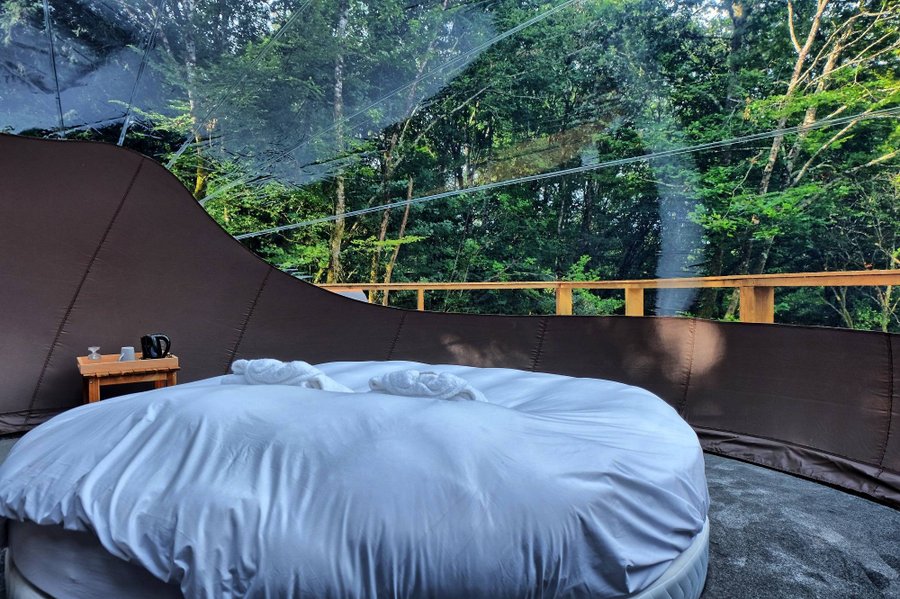 Hébergement AbracadaRoom : Bulle Spa du Bosquet - Image 14