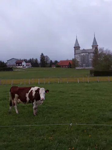 Domaine AbracadaRoom : Roulotte du Jura Vert - Image 2