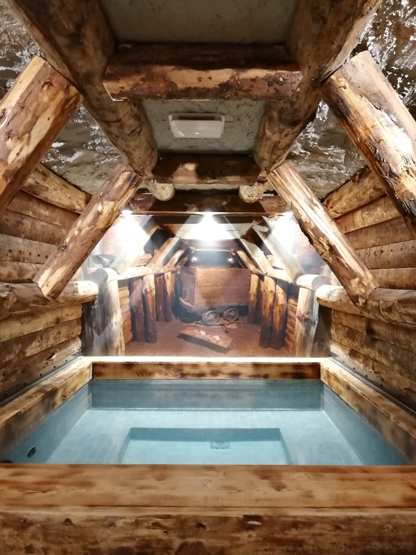 La Mine de Buck & Spa à Le Biot (5)