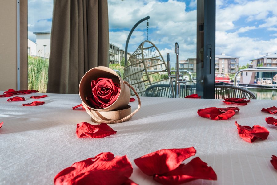 Domaine AbracadaRoom : L'Escale Royale - Isle Adam à 20' de Paris CDG - Image 8