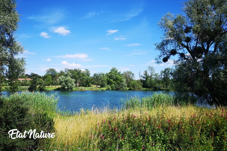 Hébergement AbracadaRoom : La Cabane sur Pilotis Etat Nature - Image 13