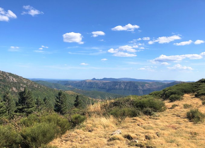 Domaine AbracadaRoom : Cosy Nature - Image 7