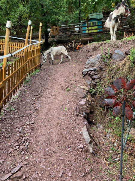 Domaine AbracadaRoom : Les écrins de Belvédère - Image 12