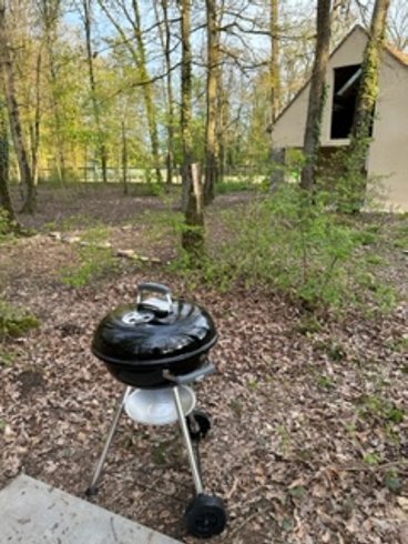 Domaine AbracadaRoom : Paley de l'éden - Image 17