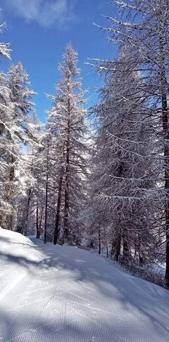 Hébergement AbracadaRoom : Les Logettes de Caroline, Ecolodge & Bain Nordique - Image 63