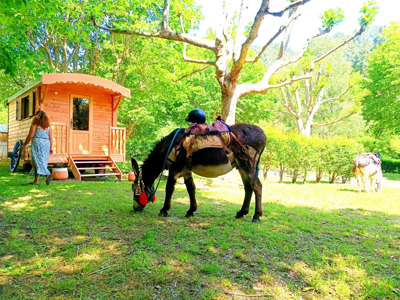 Hébergement AbracadaRoom : Roulotte Cévenole à l'ombre des platanes - Image 5