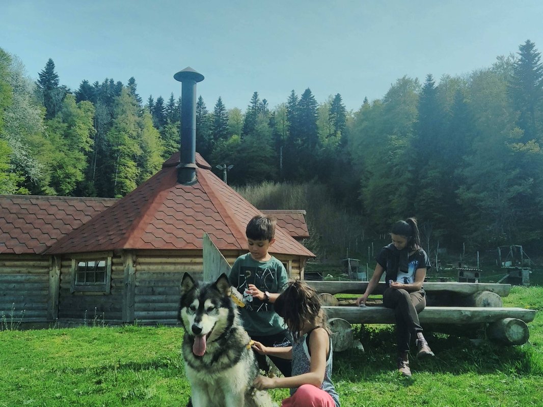 Kota 3 Inari - Séjour inoubliable auprès de huskies à Vassieux-En-Vercors (1)
