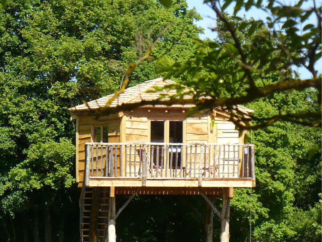 cabane dans les arbres "les 3 chouettes"