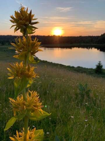 Domaine AbracadaRoom : Les Logettes de Caroline - Image 63