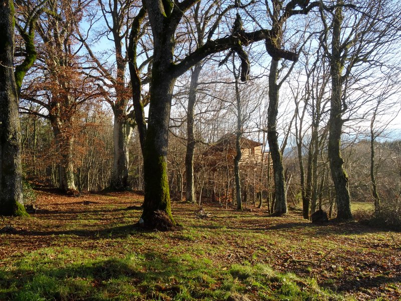 Hébergement AbracadaRoom : La Cabane des Fayards - Image 2