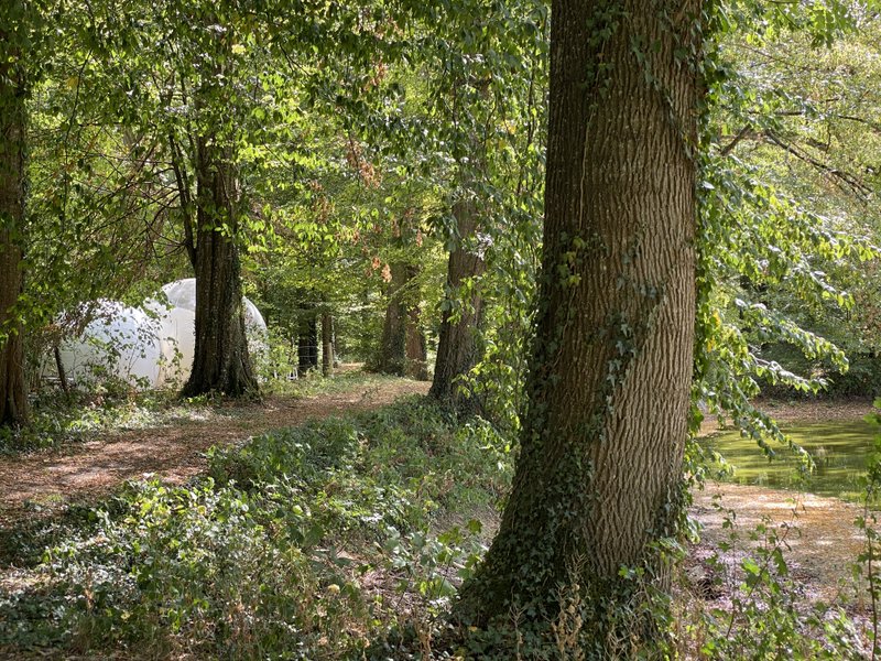 Hébergement AbracadaRoom : Bulle de l'étang - Image 10