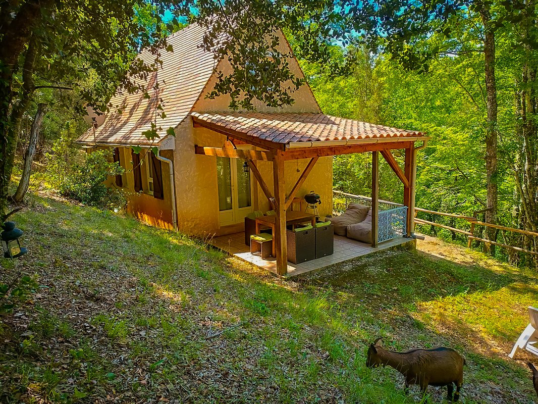 Gîte dans les bois, au coeur du Périgord noir avec étang privé à Saint Andre Allas (9)