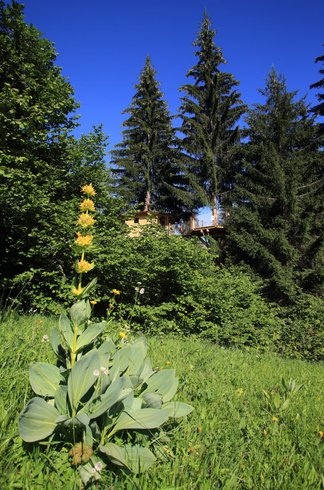 Hébergement AbracadaRoom : Cabane la Mont Blanc - Image 4