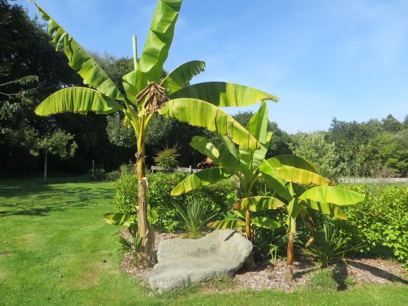 Domaine AbracadaRoom : La Bulle de Clotilde - Image 8