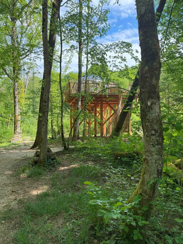 Hébergement AbracadaRoom : Grand dôme perché Spa - Geai des chênes - Image 8