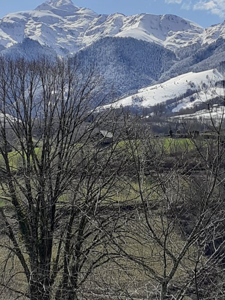 Hébergement AbracadaRoom : La Roulotte qui chuchote &spa - Image 19