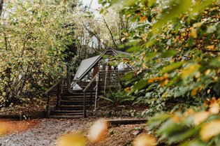 In the Woods - Chalet Scandinave