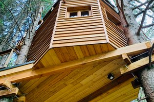 Cabane dans les Arbres - Valmo'Insolite