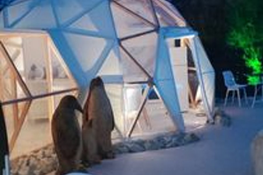 L'Igloo & Spa — photo 2
