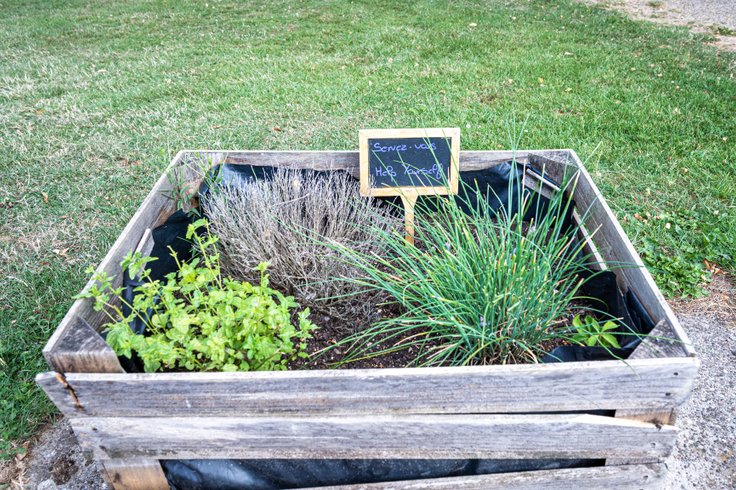 Domaine AbracadaRoom : Seasonova Camping les Portes d'Alsace - Image 41