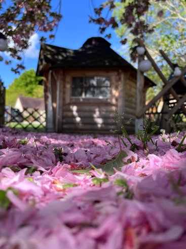 Hébergement AbracadaRoom : Soirée sous les étoiles dans un Kota finlandais « Amboise » - Image 16