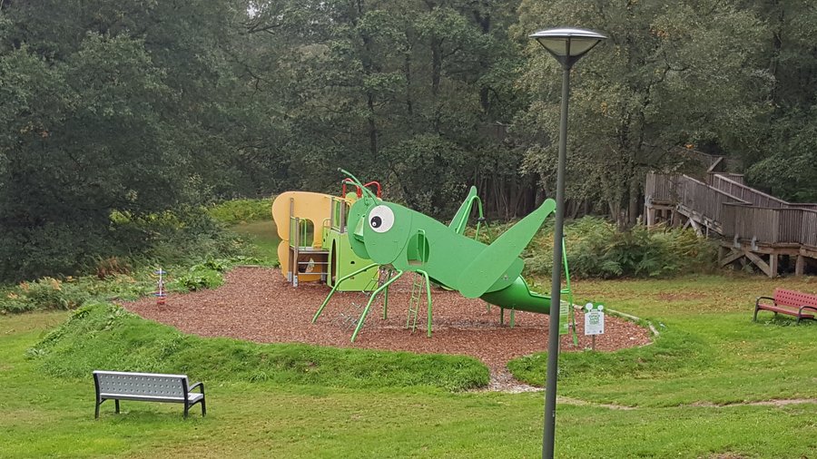 Domaine AbracadaRoom : L'Etape en Forêt - Image 5