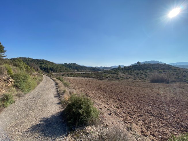 Domaine AbracadaRoom : Glamping Dôme les Cigales - Image 33