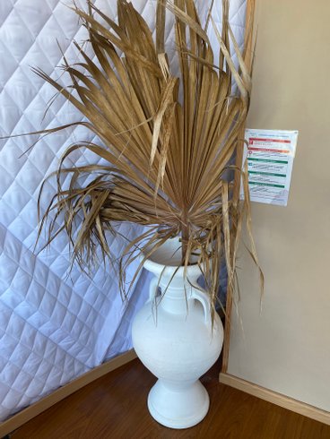 Hébergement AbracadaRoom : Zingarabella - Image 3