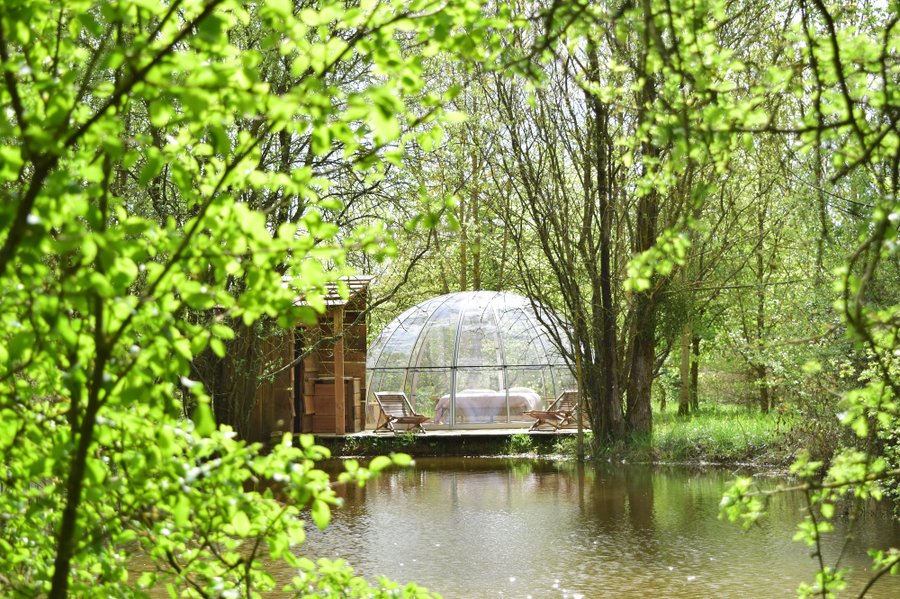 Hébergement AbracadaRoom : Dôme dans les bois du Château - Image 2
