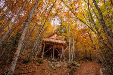 Cabane Spa des Trolls à Saint Léger Les Mélèzes (1)