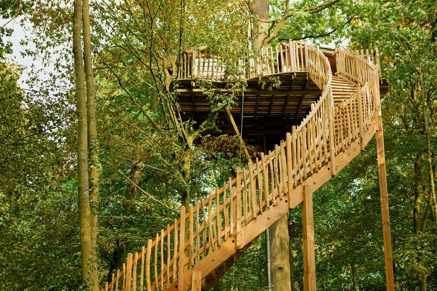 Hébergement AbracadaRoom : Cabañas Dúo en los Árboles - Image 23