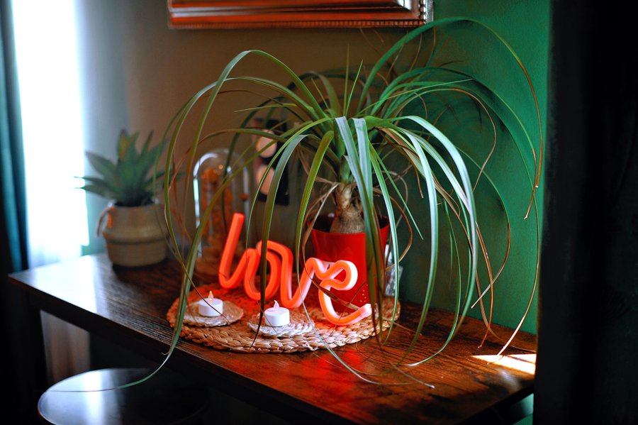 Hébergement AbracadaRoom : Évasion romantique au coeur de l'Amazonie, SPA, CINÉMA PRIVÉ, 5 min centre - Image 16