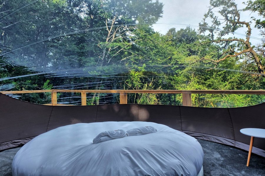 Hébergement AbracadaRoom : Bulle Spa du Bosquet - Image 16