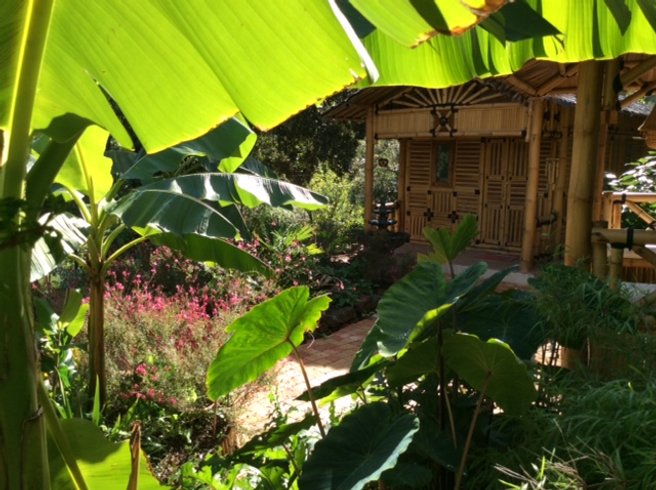 Hébergement AbracadaRoom : Insolite Coco Banane, Spa privatisable - Image 16