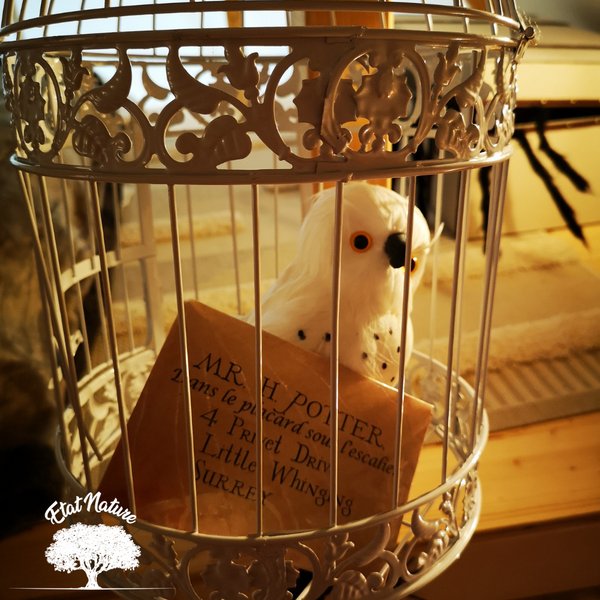 Hébergement AbracadaRoom : Le gîte Harry Potter - Image 10