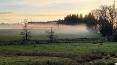 Domaine AbracadaRoom : Roulotte du Jura Vert - Image 5