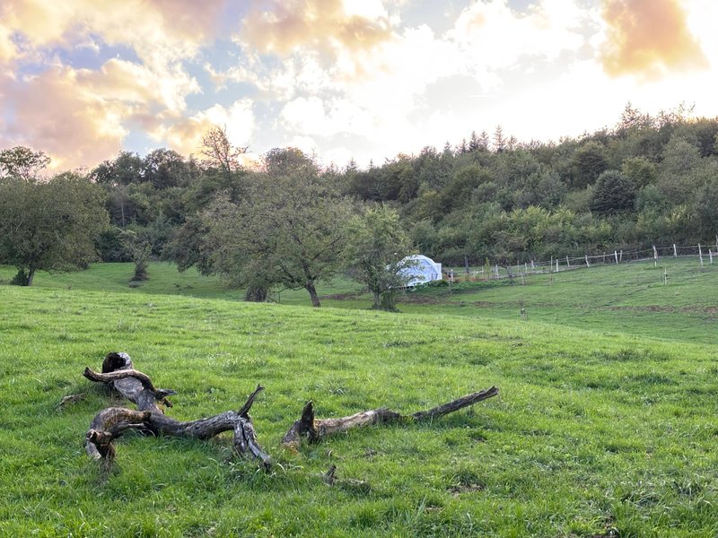 Hébergement AbracadaRoom : Dôme Ambre - Image 6