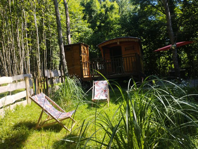 Hébergement AbracadaRoom : Terra Bosca - La roulotte - Image 16