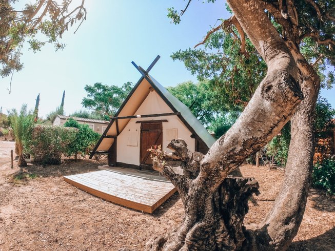 Domaine AbracadaRoom : Camping l'Orangeraie - Image 1