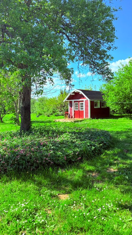 Chalet suédois à Santranges (7)