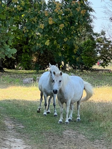 Domaine AbracadaRoom : La Garenne Saint Germain - Image 11