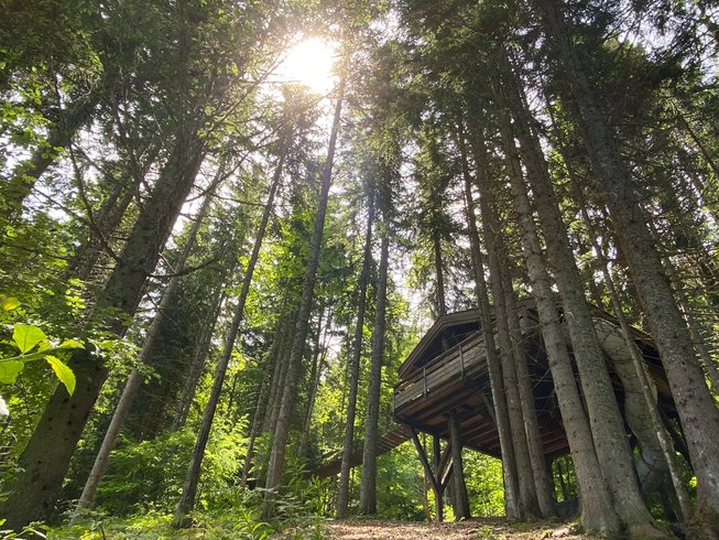 Hébergement AbracadaRoom : Cabane Spa du Ruisseau - Image 2