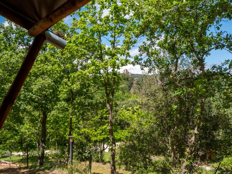 Hébergement AbracadaRoom : Safari Lodge LUXE - Image 4