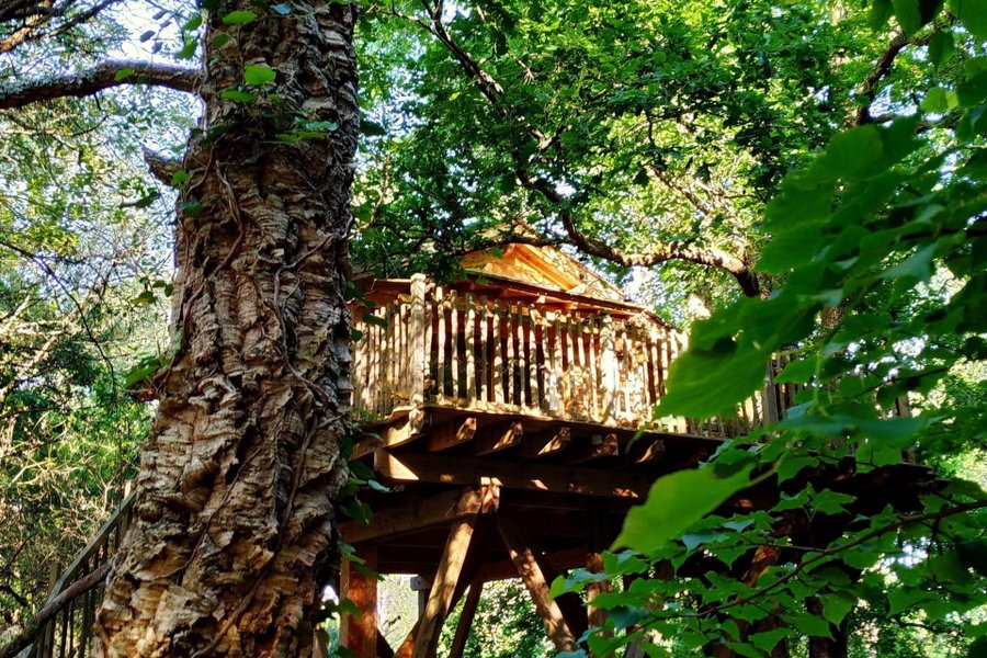 La Cabane Perchée d'Hossegor & Spa — photo 2