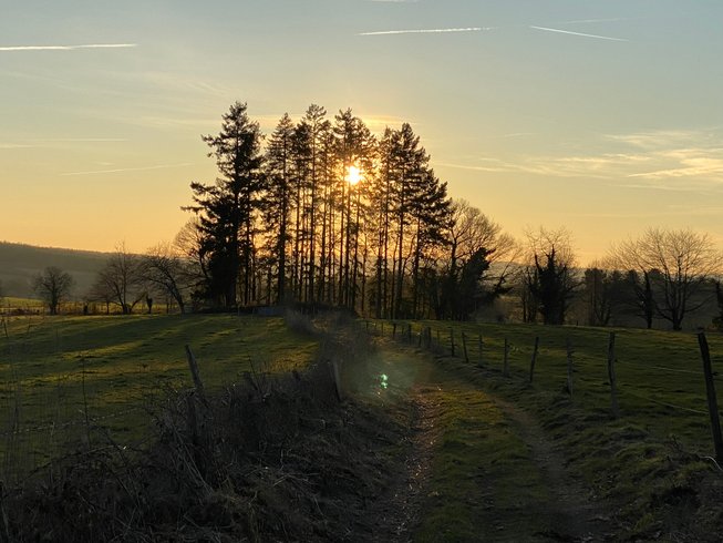 Domaine AbracadaRoom : Les terres de la chouette - Image 13