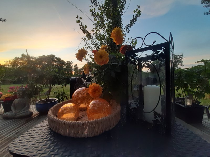 Domaine AbracadaRoom : L'Arche Enchantée - Image 3