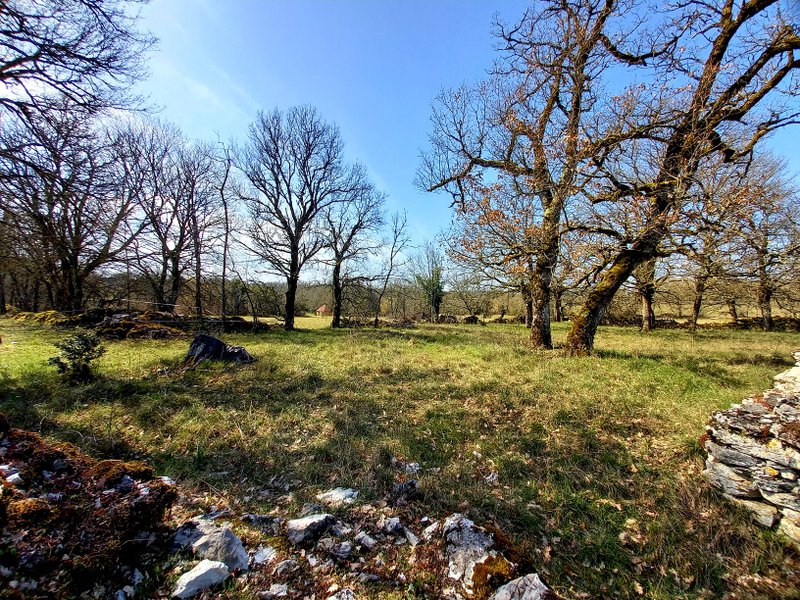 Domaine AbracadaRoom : Domaine de la Pierre Sèche - Image 10